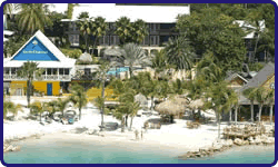 curacao lions dive.1